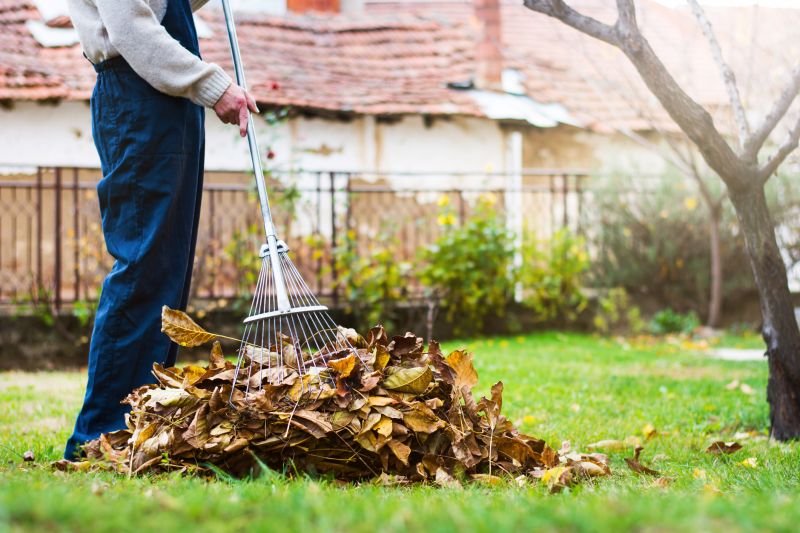 Leaf Raking in Progress