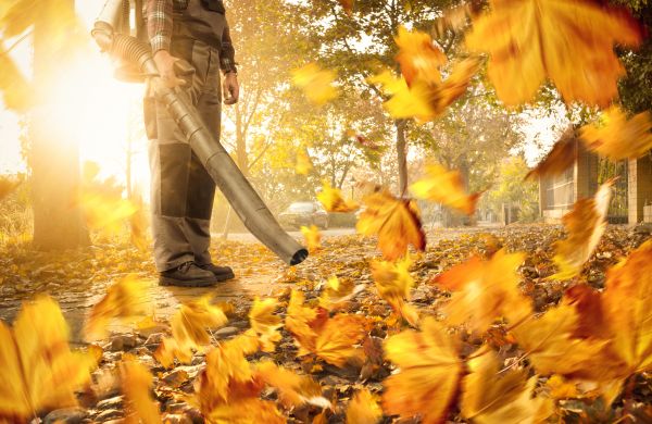 Leaf Blowing Service in Auburn