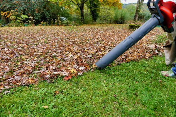 Leaf Vacuuming Service in Auburn