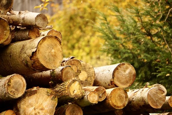 Wood Pile Removal in Auburn