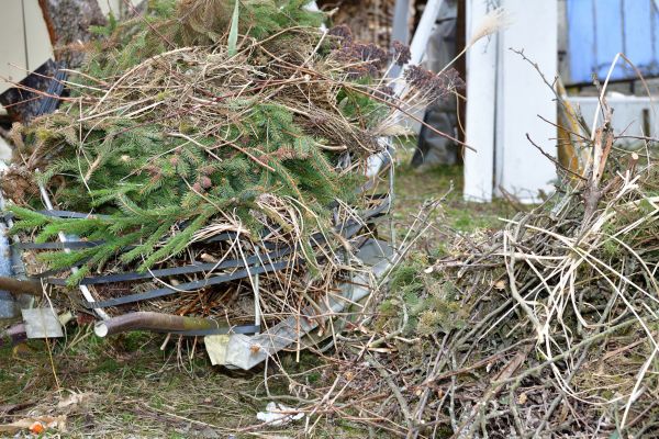 Yard Debris Removal in Auburn
