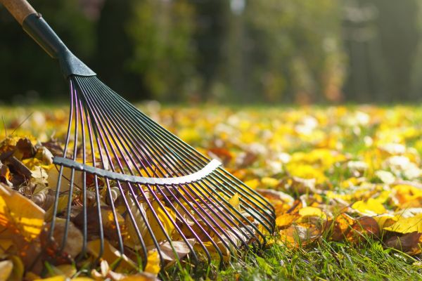 Leaf Raking Service in Auburn