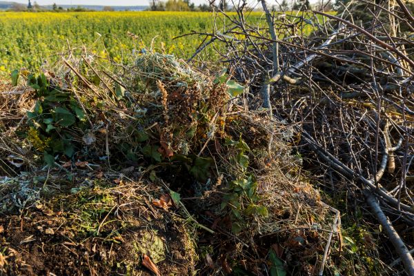 Brush Disposal in Auburn