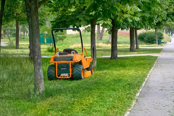 Landscaping Cleanup Service in Auburn