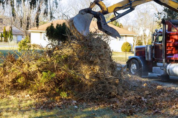 Storm Debris Removal in Auburn
