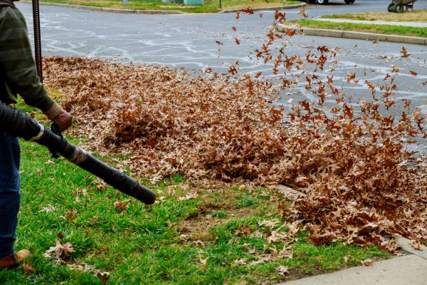Cost of Garden Leaf Removal in Auburn