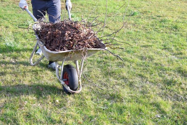 Yard Brush Removal in Auburn