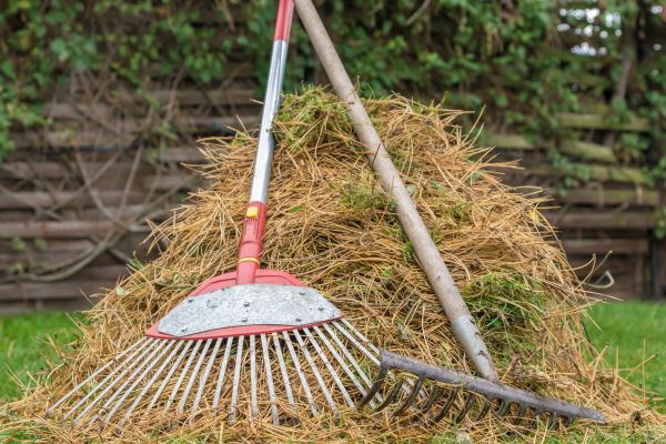 Cost of Pine Straw Clearing in Auburn