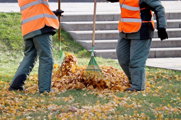 Cost of Leaf Hauling Service in Auburn