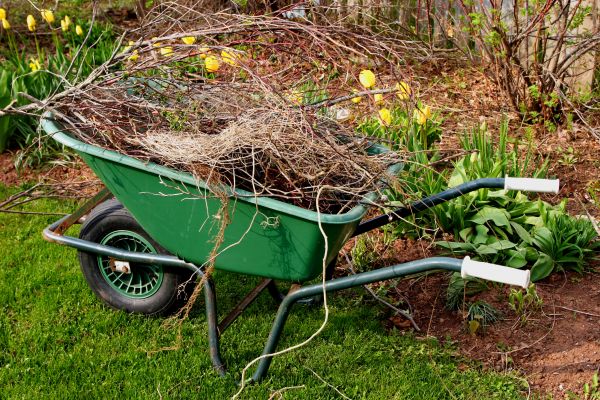 Lawn Waste Removal in Auburn