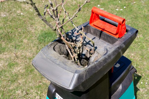 Cost of Brush Cleanup Service in Auburn
