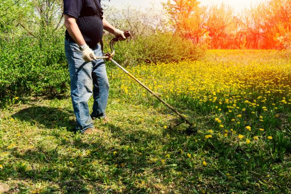 Cost of Yard Clearing Service in Auburn