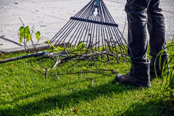 Yard Debris Cleanup in Auburn
