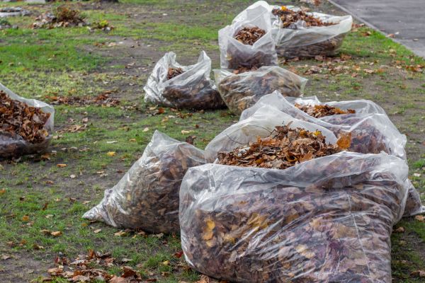 Cost of Leaf Pile Disposal in Auburn